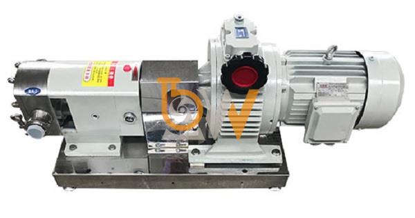 Máy bơm lobe 3RP-2 áp suất 0.6 MPa đường kính kết nối DN15 công suất 0.55 kW