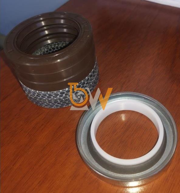 Phớt làm kín bơm dầu truyền nhiệt RY32-32-160 loại tốt