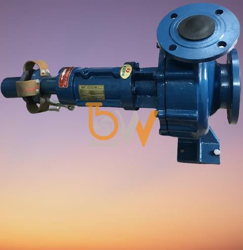 Bán đầu bơm dầu truyền nhiệt RY32-32-160