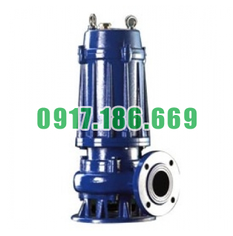 Bán Bơm Chìm Hút Nước Thải CNP 50WQ12-10-0.75 chính hãng