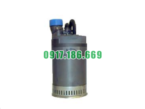 Bán Bơm Chìm Khử Nước P-300 60Hz chính hãng