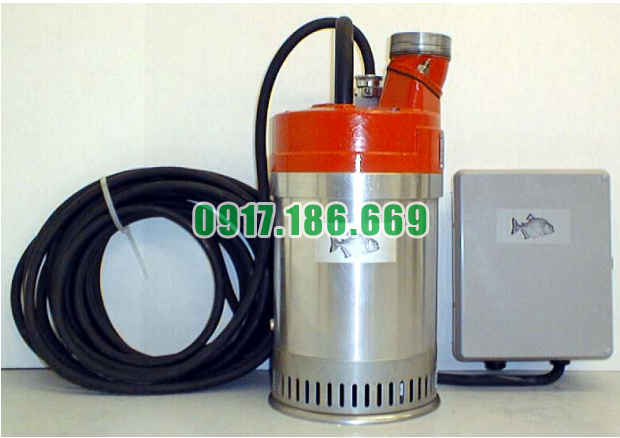 Bán Bơm Chìm Khử Nước P-650-HH 50Hz chính hãng