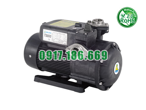Bán Bơm nước tăng áp điện tử WALRUS TS800 chính hãng