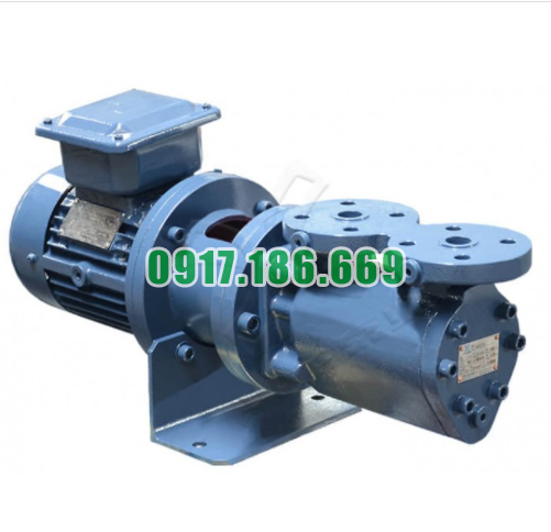Bán Bơm Trục Vít Ba XSPF20-46 chính hãng
