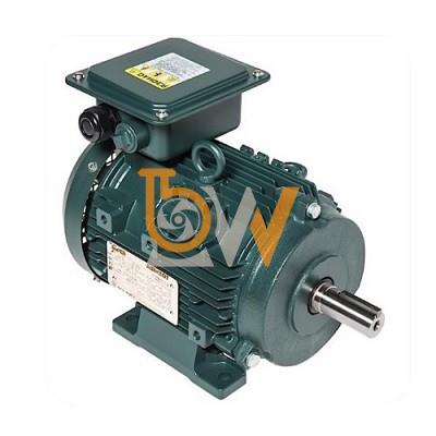 động cơ 4kw lắp đặt cho bơm kcb 200 chất lượng cao